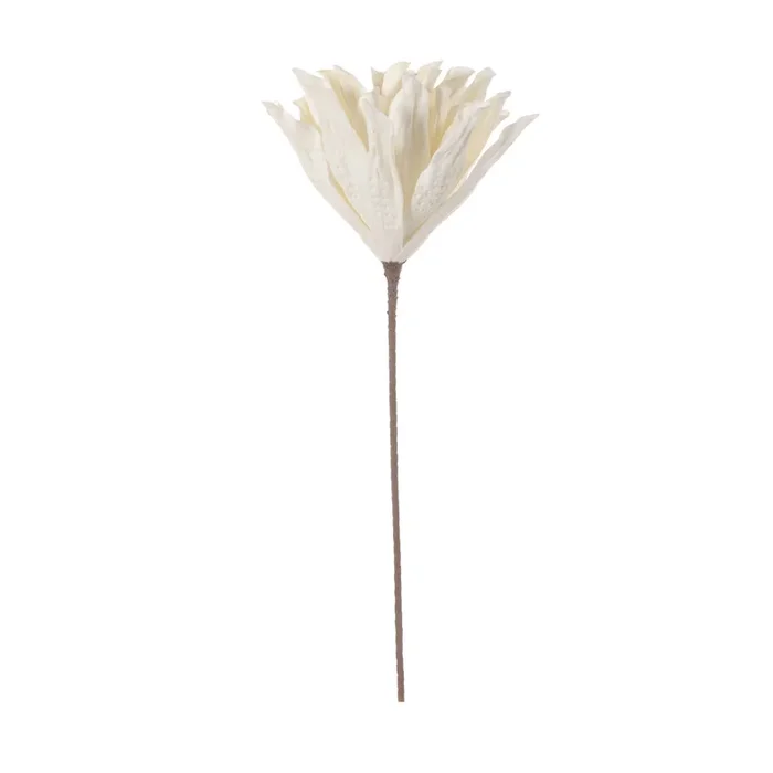 81cm Foam Dahlia White