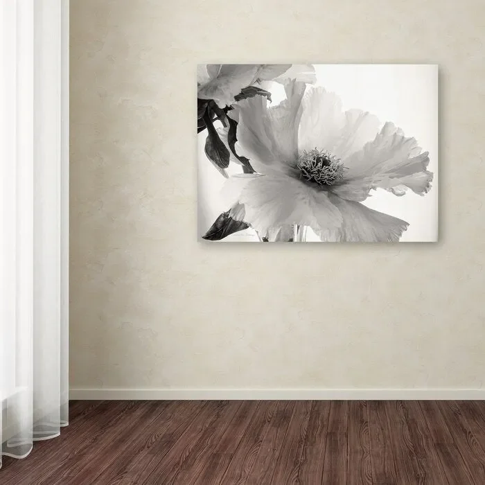 ‘Translucent Peony VIBW’ Print on Wrapped Canvas – 24″ x 32″ (#K4982)