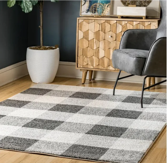 Aisha Buffalo Plaid Gray 8 ft. x 10 ft. Area Rug