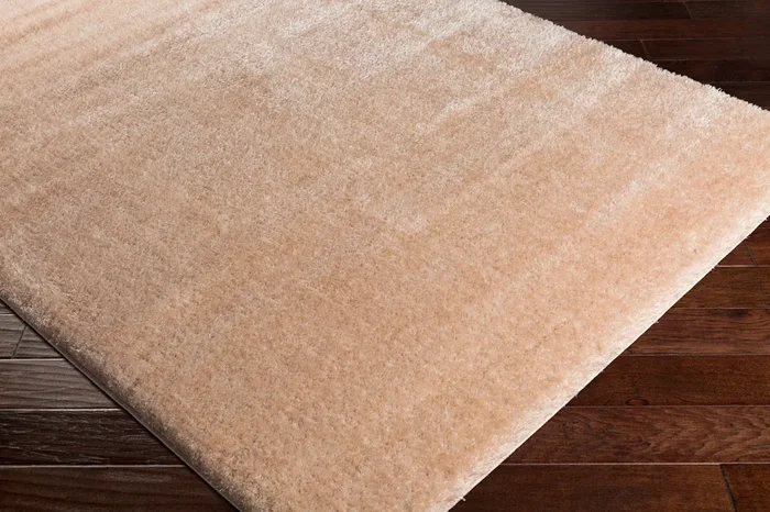 Alaska Shag AAS-2302 2′ x 3′ Machine Woven Accent Rug