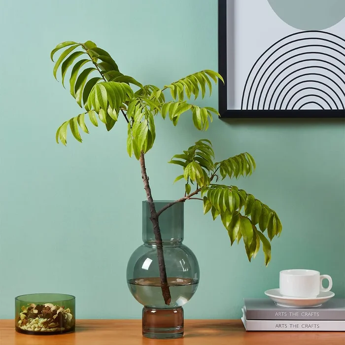 Ampitabe Round Grey Vase