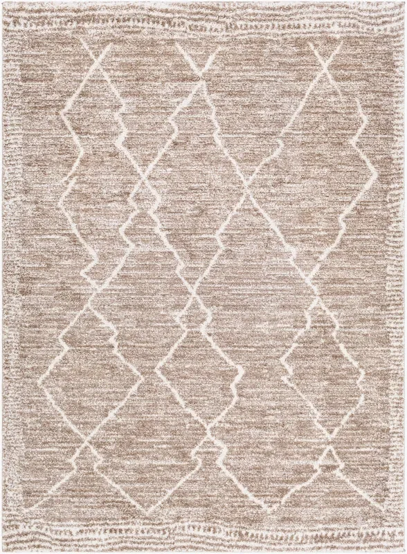 Andorra ARD-2310 8′ x 10′ Machine Woven Area Rug