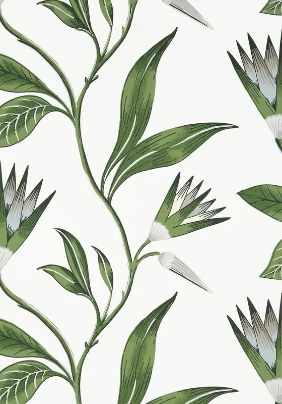 Anna French AT9622 CLEO VINE Green and White Wallpaper