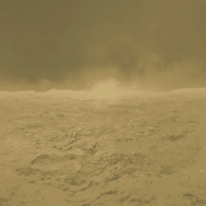 Armani LEOPARDI MURAL 9970 in Gold Mural