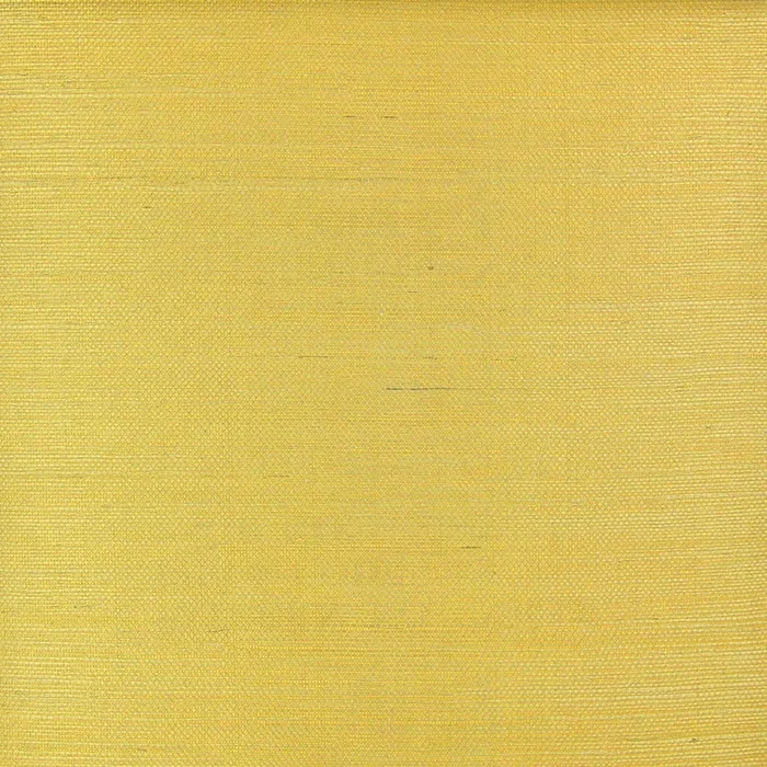 Astek ND1021 Royal Grasscloth