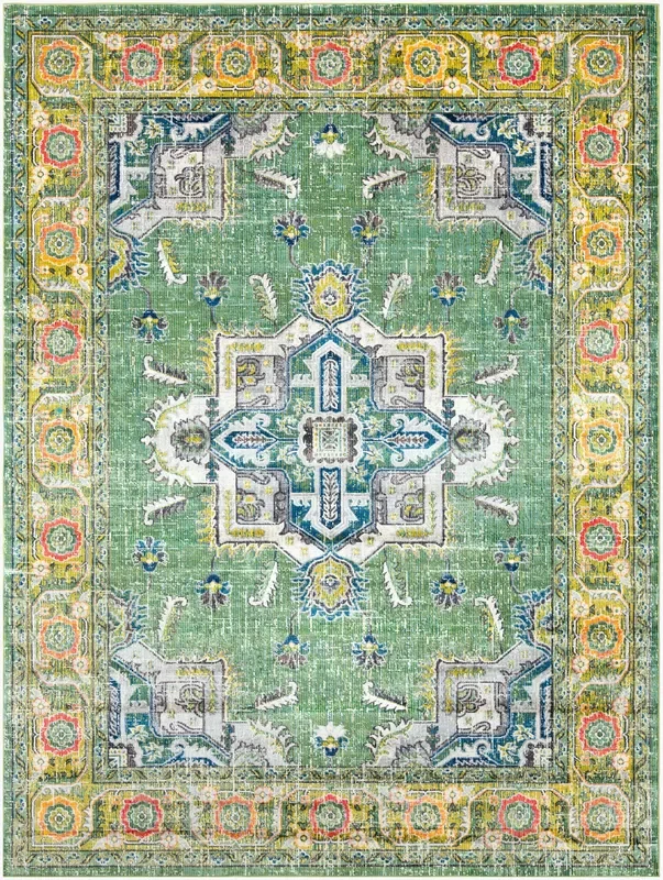 Aura Silk ASK-2313 4′ x 6′ Machine Woven Area Rug