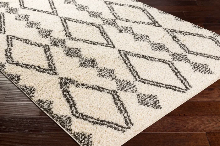 Beni Shag BSH-2318 5′ x 7′ Machine Woven Area Rug