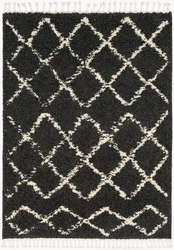 Berber Shag BBE-2307 6′ x 9′ Machine Woven Area Rug