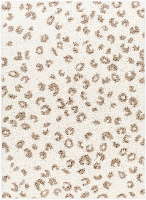Birmingham BMM-2309 5′ x 7′ Machine Woven Area Rug