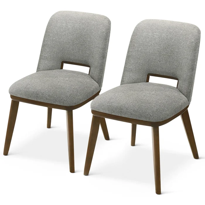 Blake – Modern Dining Chair (Set of 2)