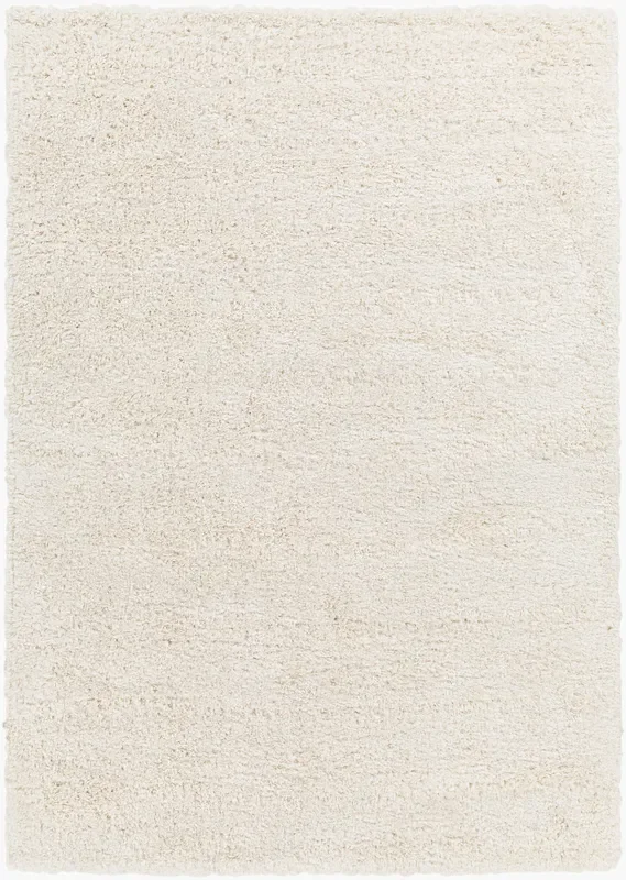 Bogota Shag BTG-2301 5′ x 7′ Machine Woven Area Rug