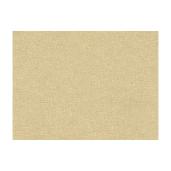 BRUNSCHWIG & FILS 8013150.1111.0 CHARMANT VELVET ECRU Fabric