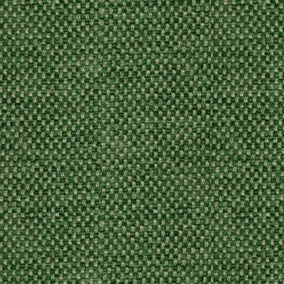 BRUNSCHWIG & FILS BR-81782.488.0 YORKE CHENILLE FOREST Fabric