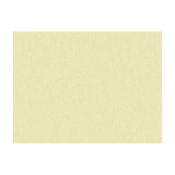 BRUNSCHWIG & FILS JAG-50020.1001.0 SHOTS PONGEE Fabric