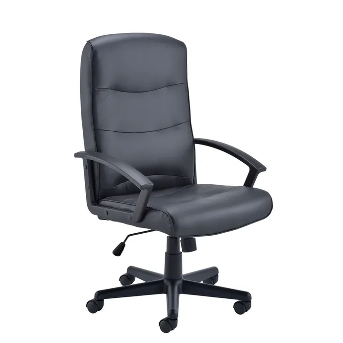 Canasta 2 Executive Office Chair