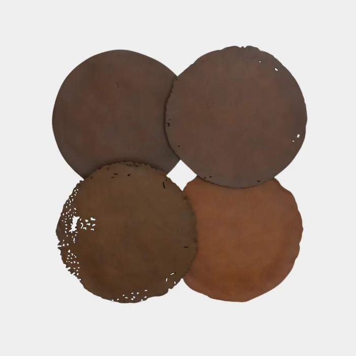 Cast Oil Drum Wall Disc Set