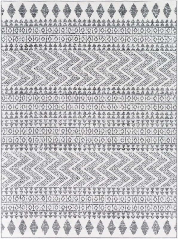 Cesar CEG-2343 6′ x 9′ Machine Woven Area Rug