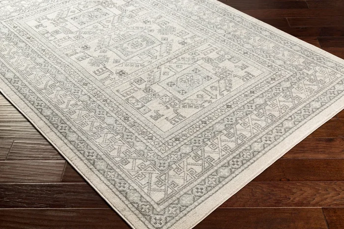 Chester CHE-2328 8′ x 10′ Machine Woven Area Rug
