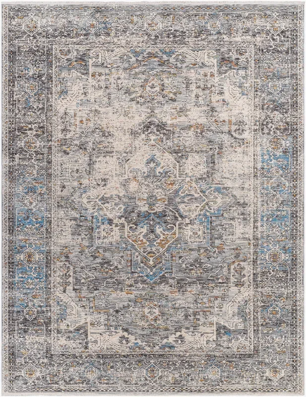 Chicago CHG-2312 4′ x 6′ Machine Woven Accent Rug