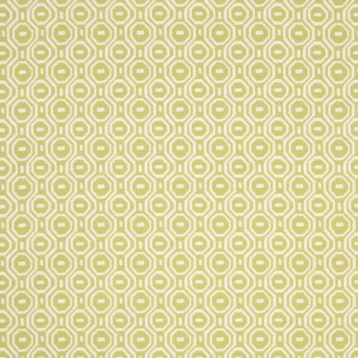 CLARKE AND CLARKE F0995/05.CAC.0 GOTSKA OLIVE Fabric