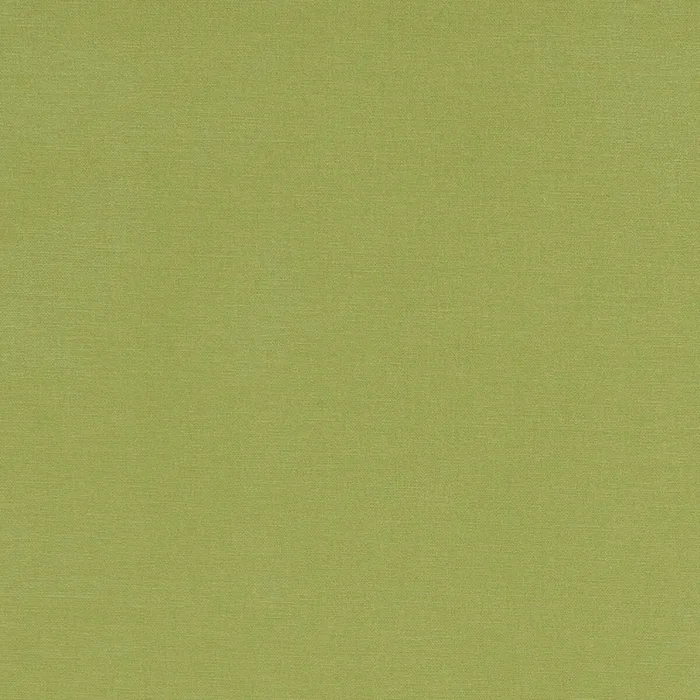 CLARKE AND CLARKE F1097/01.CAC.0 ALORA APPLE Fabric