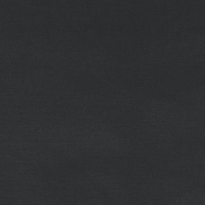CLARKE AND CLARKE F1097/22.CAC.0 ALORA GRAPHITE Fabric