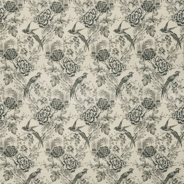 CLARKE AND CLARKE F1429/02.CAC.0 AVIUM CHARCOAL Fabric