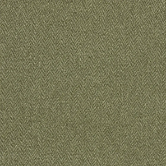CLARKE AND CLARKE F1570/07.CAC.0 ROWLAND MOSS Fabric