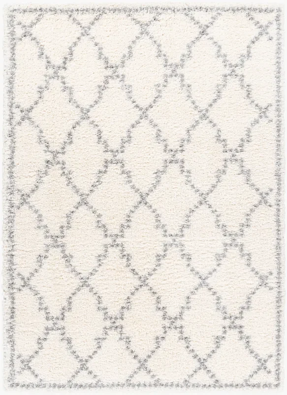 Deluxe Shag DXS-2305 2′ x 3′ Machine Woven Accent Rug