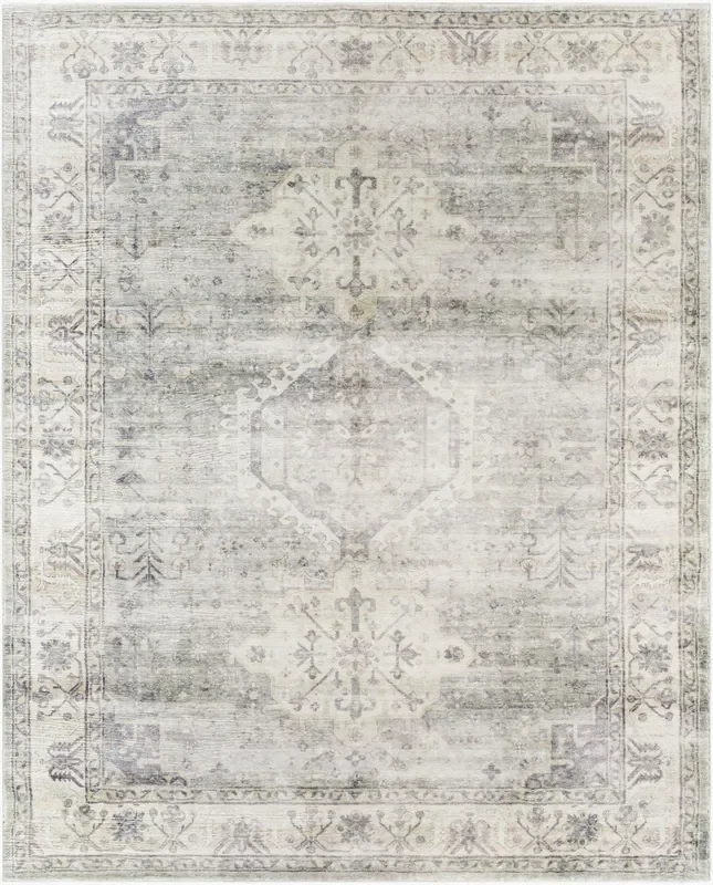 Erin ERN-2317 8′ x 9′ Machine Woven Area Rug