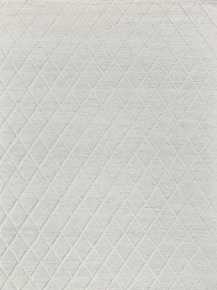 EXQUISITE RUGS Brentwood Indoor Hand Woven – 4716-8’X10′