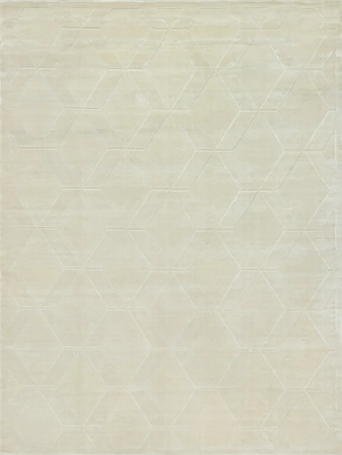 EXQUISITE RUGS Brunello Modern Indoor Hand Loomed – 6739-4’x5′