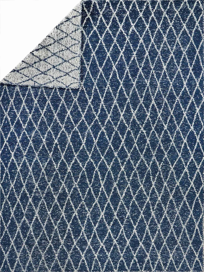 EXQUISITE RUGS Giorgio Indoor/Outdoor Flat Weave – 4995-3’X5′