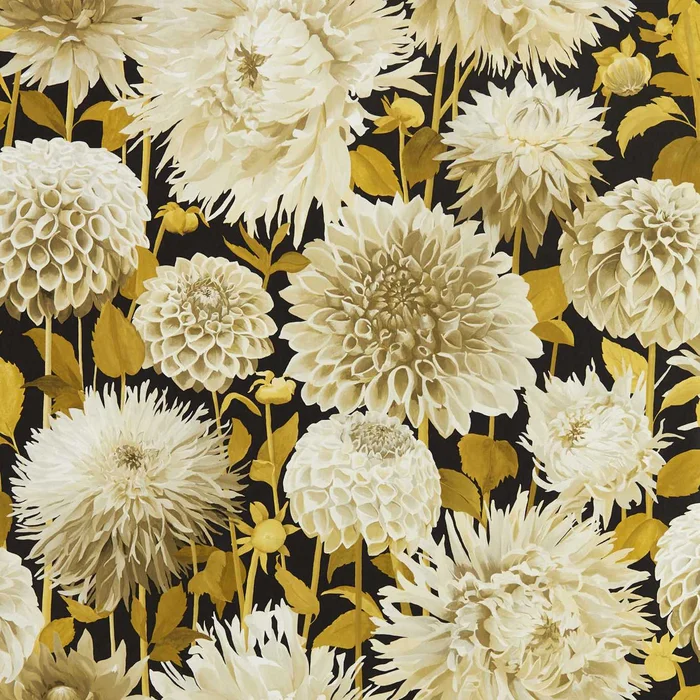 HARLEQUIN Dahlia Wallpaper Classic Floral Fig Blossom,Nectar,Black Earth Gravure – Wide Width Printed Wallpaper – HQN2112846