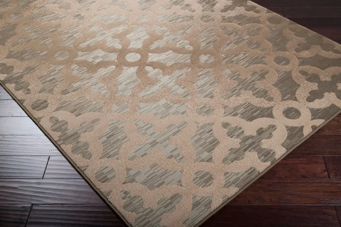 Harmony HAM-1001 2′ x 3′ Machine Woven Accent Rug