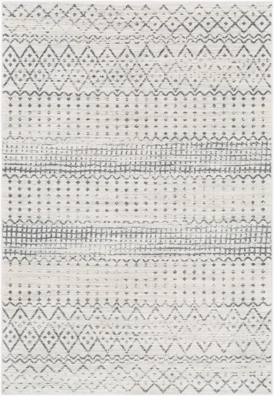 Harput HAP-1097 9′ x 12′ Machine Woven Area Rug