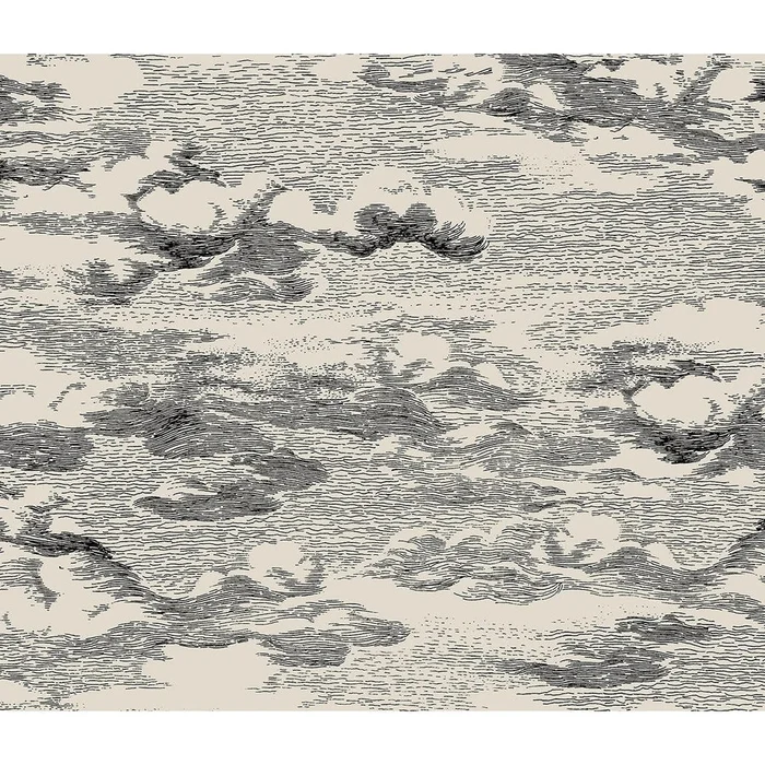 Harry & Grace Harry & Grace Peel and Stick Clouds Illustration Contemporary Beige & Black Semi-Gloss – HG11210