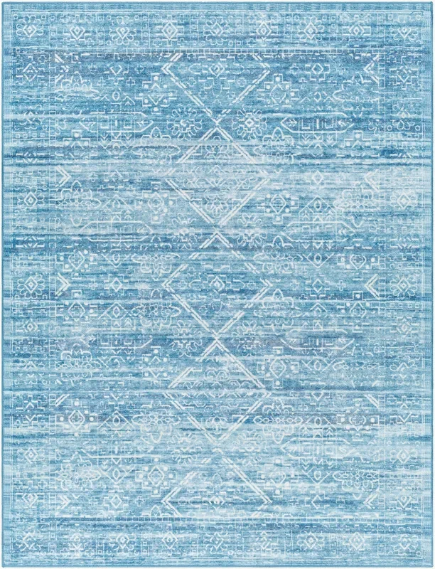 Hera HRH-2307 6′ x 9′ Machine Woven Washable Area Rug
