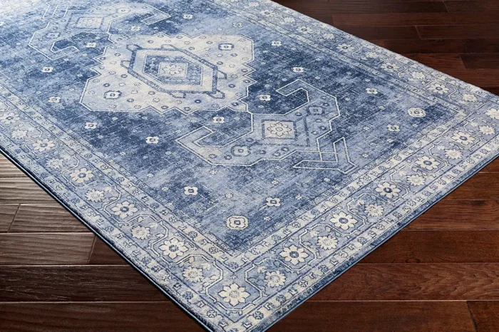 Indigo IGO-2323 4′ x 6′ Machine Woven Area Rug