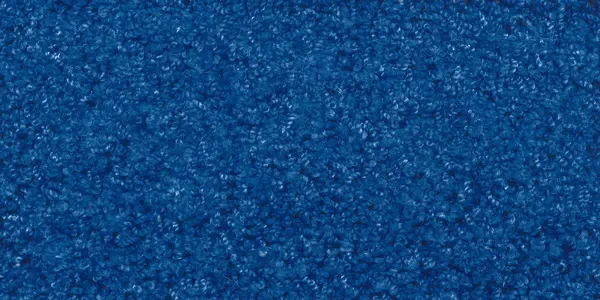 Joy Carpets, Inc. Rock your Room 621 Blue Rug