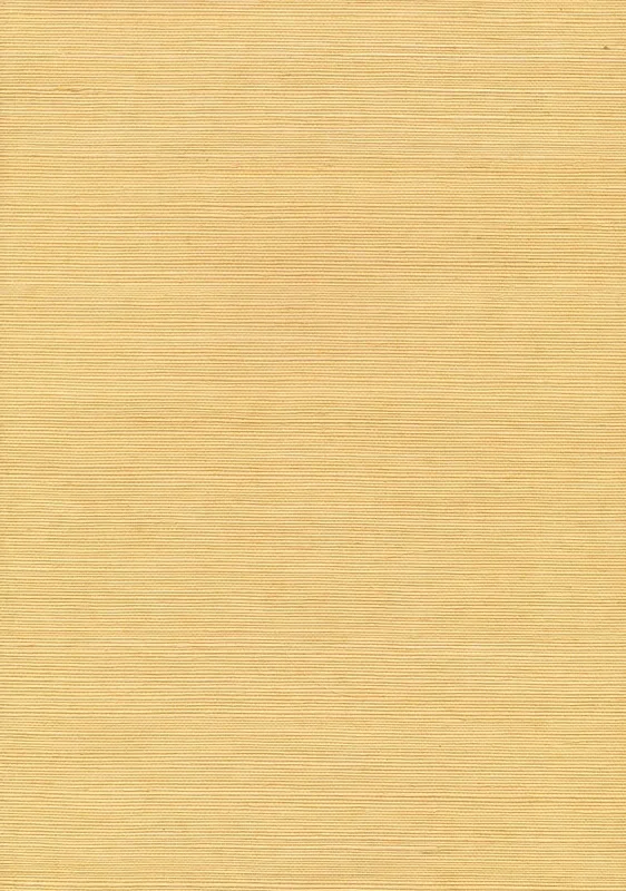 Kenneth James 53-65400 Aiko Mustard Grasscloth Wallpaper