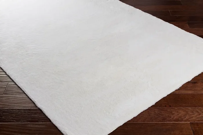 Lapine LAN-2300 2′ x 3′ Machine Woven Accent Rug