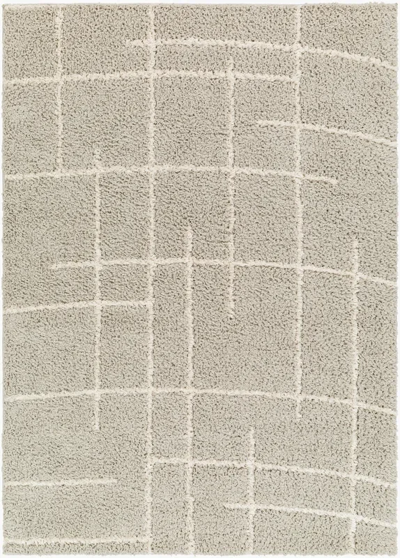 Maryland Shag MSG-2307 6′ x 9′ Machine Woven Area Rug