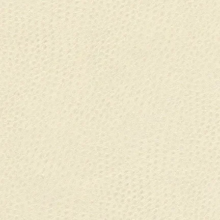 Maxwell Q36899 QUILL-NJ # 899 FOAM Fabric