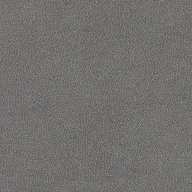 Maxwell TV0862 TOP GRAIN-NJ # 862 MIDNIGHT Fabric
