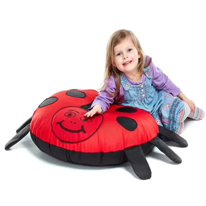 Mini Beast Ladybird Cushion