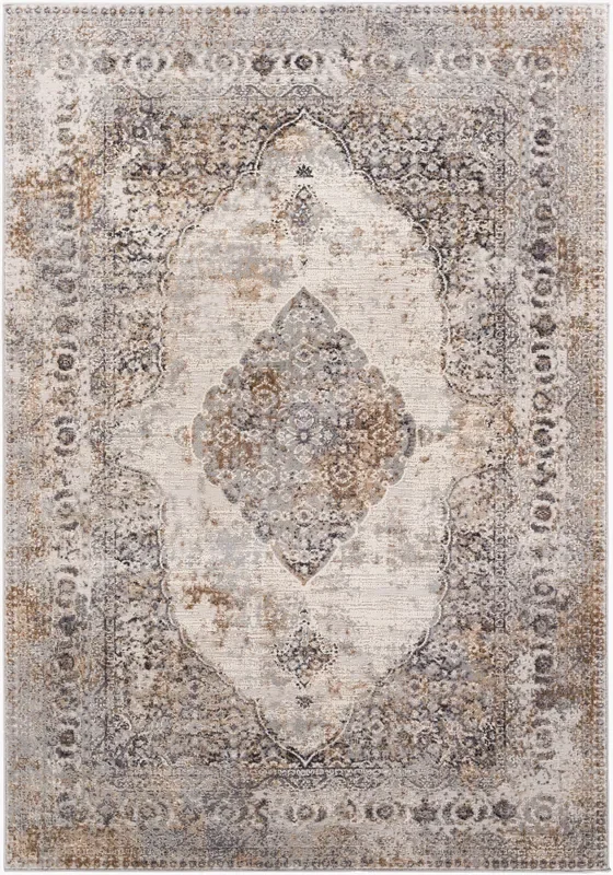 Mood MDD-2303 8′ x 10′ Machine Woven Area Rug