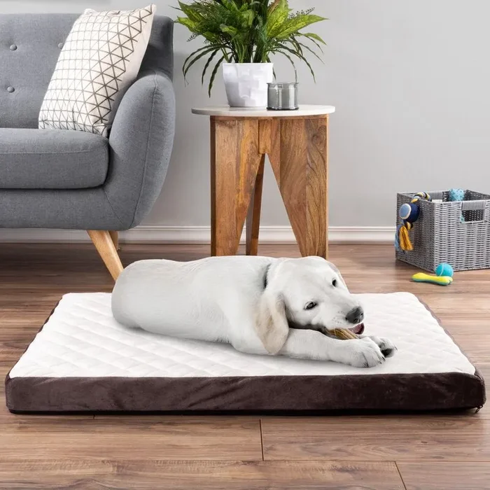 Odor Resistant Dog Pillow B68-VS165