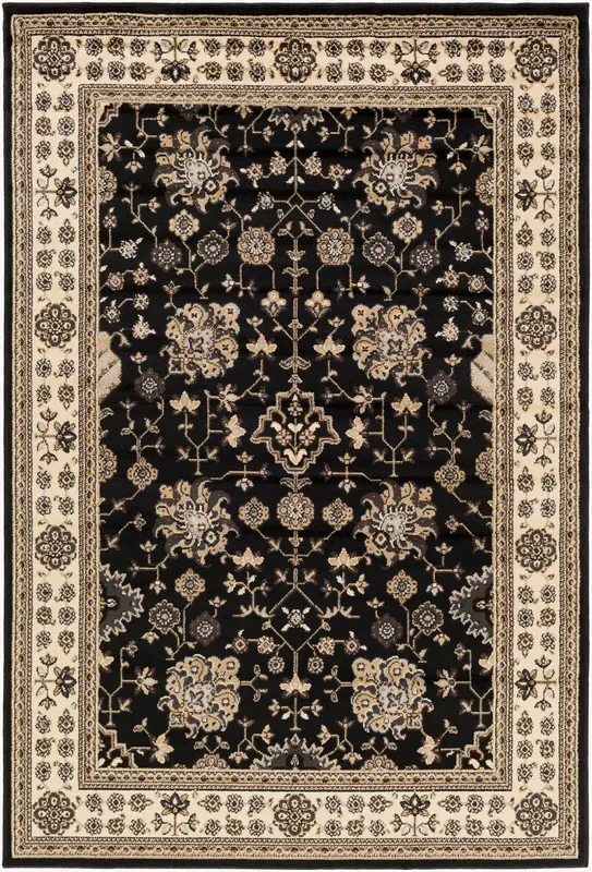 Paramount PAR-1070 2′ x 3′ Machine Woven Accent Rug
