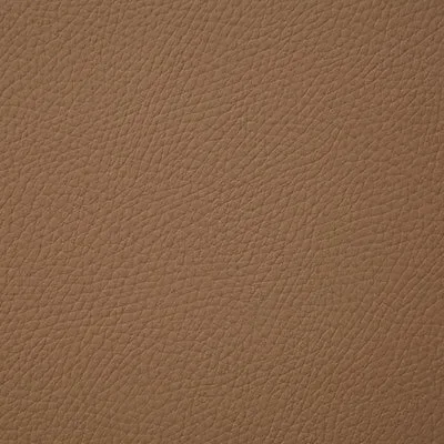 Pindler BANDERO CAMEL 8079 Fabric